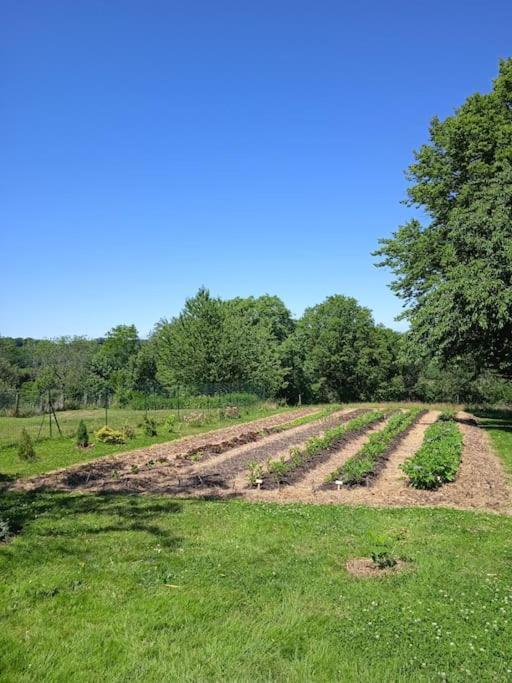 Charmant Gite Haut-Marnais Montcharvot Buitenkant foto