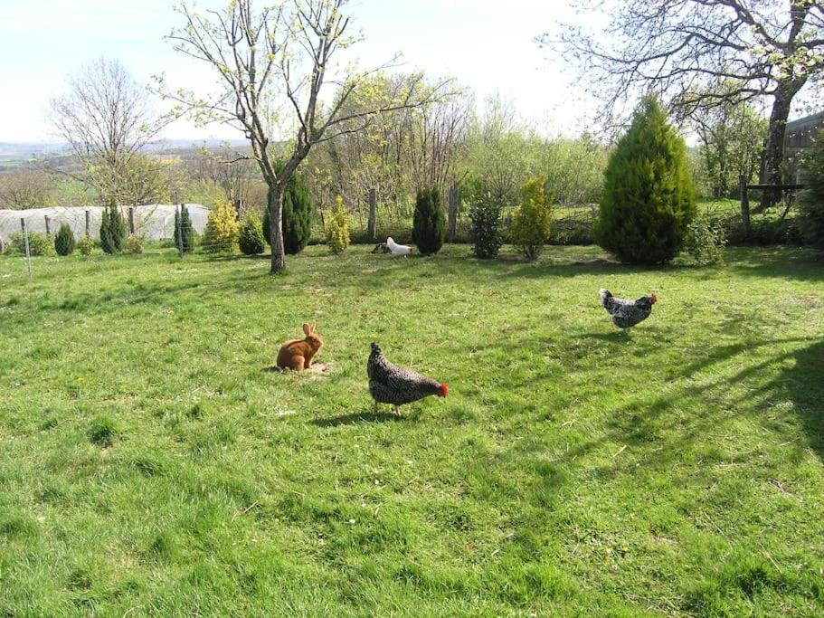 Charmant Gite Haut-Marnais Montcharvot Buitenkant foto