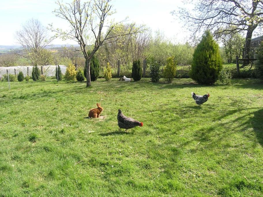 Les Jardins Des 3 Provinces- Gite Montcharvot Buitenkant foto