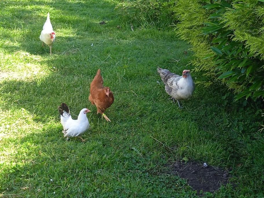 Les Jardins Des 3 Provinces- Gite Montcharvot Buitenkant foto
