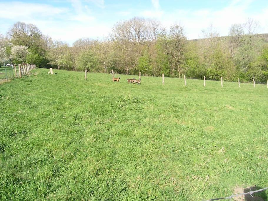 Les Jardins Des 3 Provinces- Gite Montcharvot Buitenkant foto