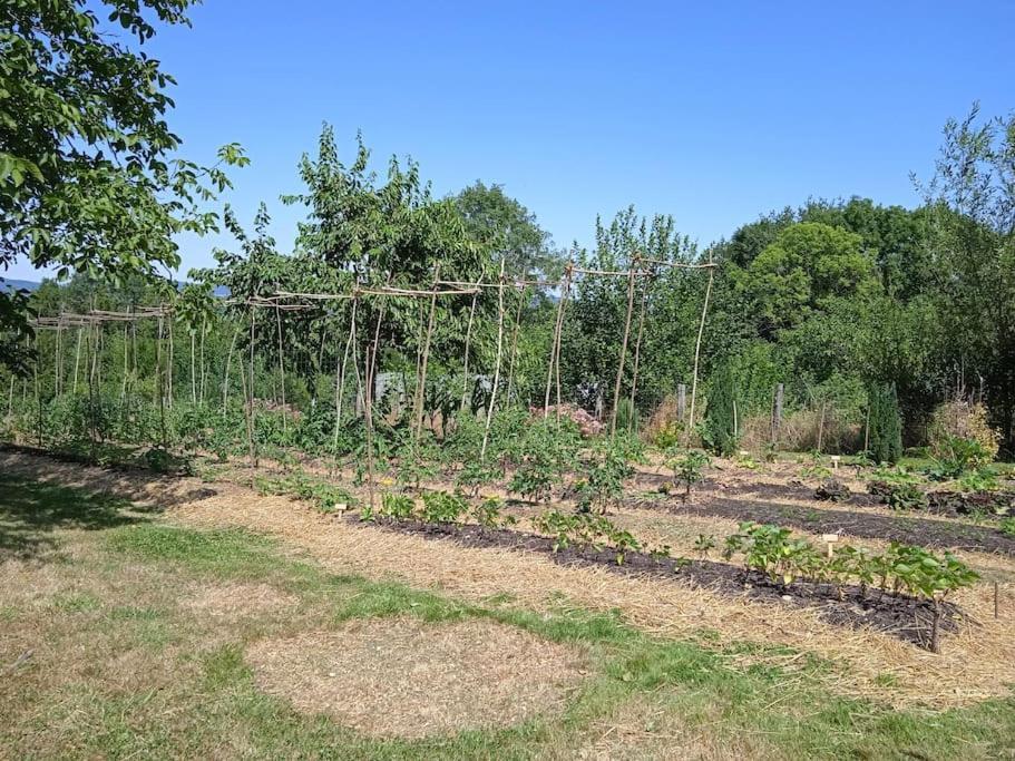 Les Jardins Des 3 Provinces- Gite Montcharvot Buitenkant foto