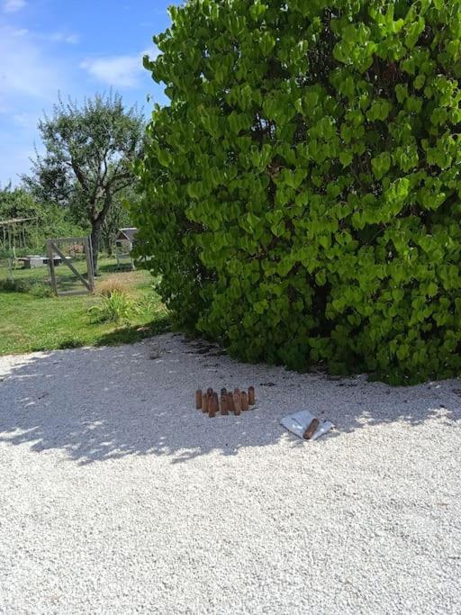 Les Jardins Des 3 Provinces- Gite Montcharvot Buitenkant foto