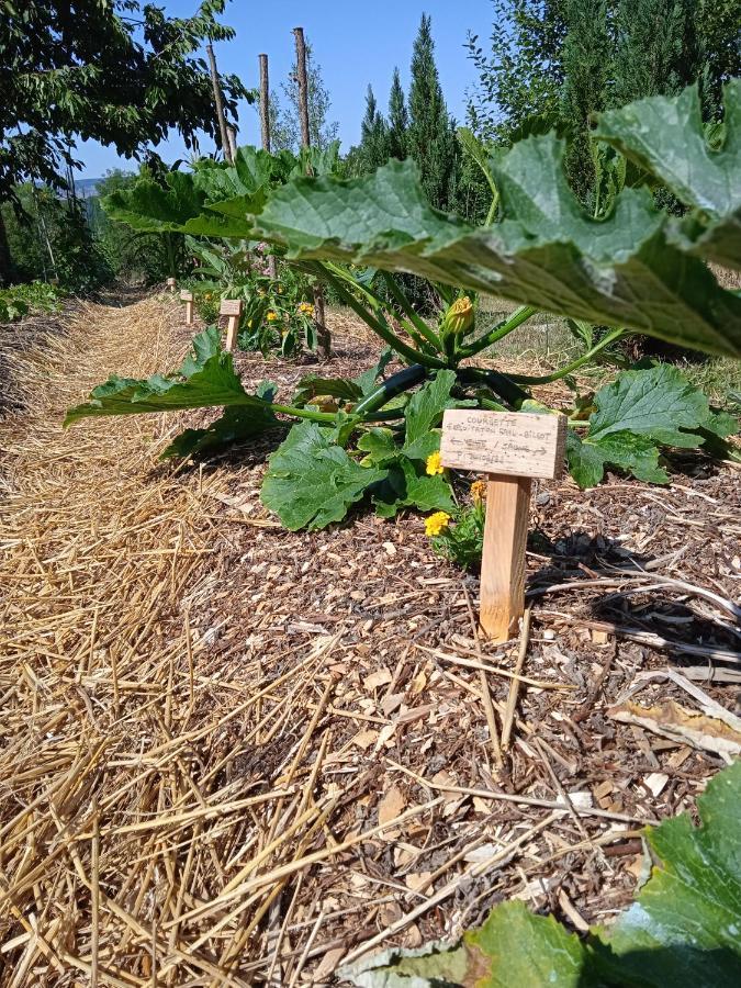 Les Jardins Des 3 Provinces- Gite Montcharvot Buitenkant foto