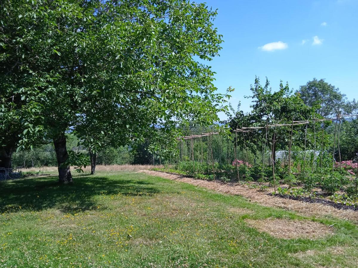 Les Jardins Des 3 Provinces- Gite Montcharvot Buitenkant foto