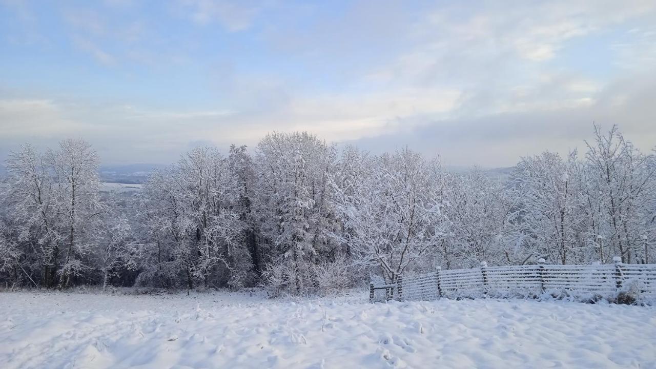 Les Jardins Des 3 Provinces- Gite Montcharvot Buitenkant foto