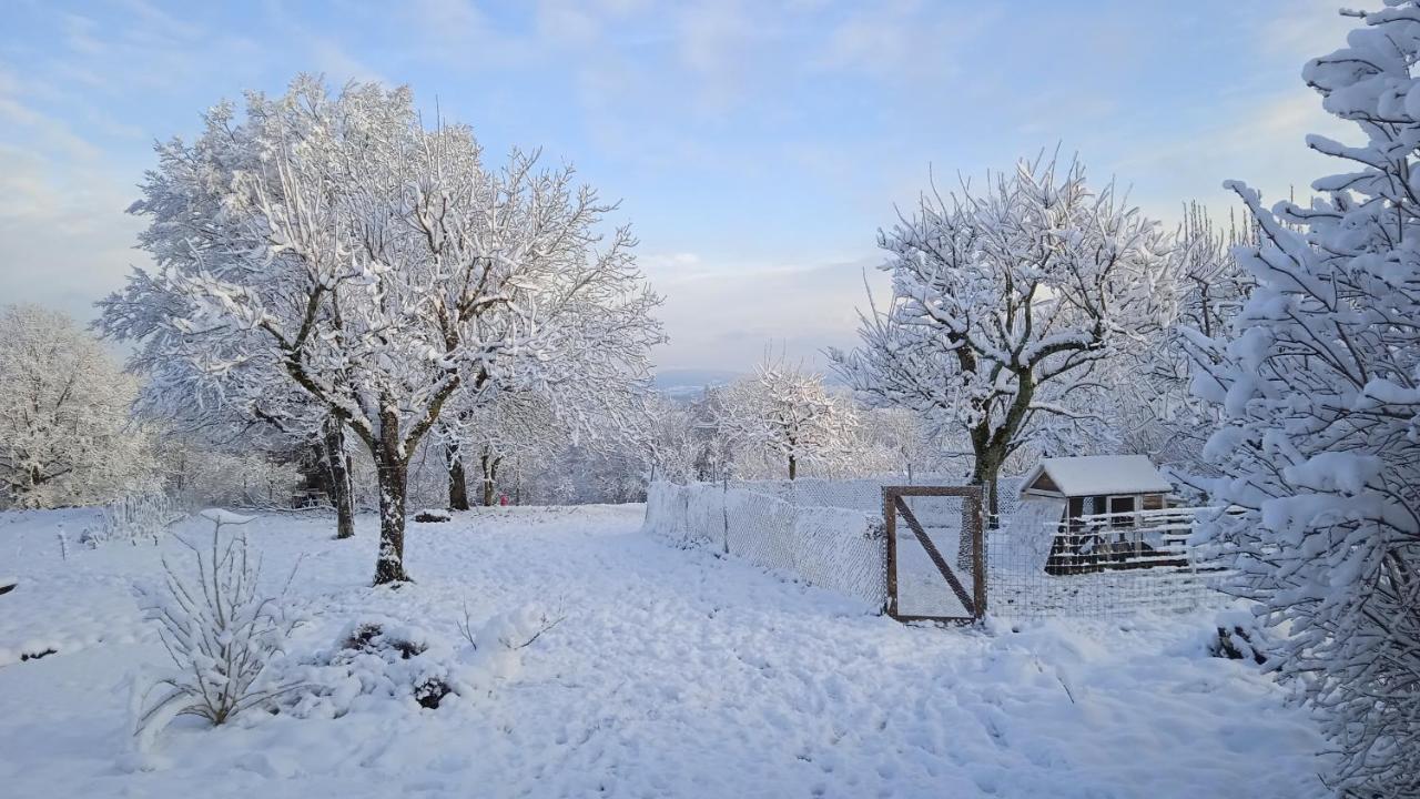 Les Jardins Des 3 Provinces- Gite Montcharvot Buitenkant foto